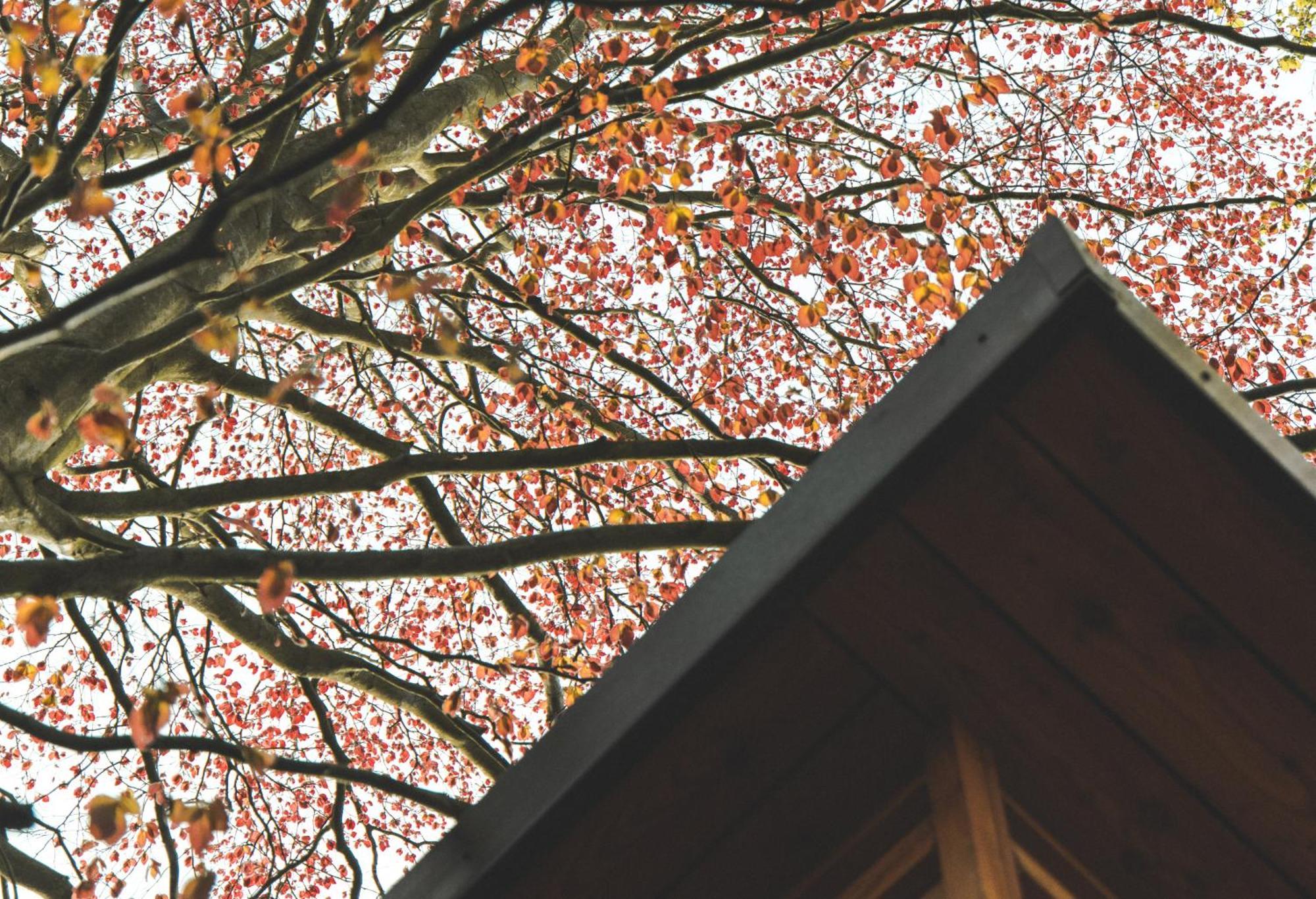 The Lodge, Burniston سكرابورو المظهر الخارجي الصورة